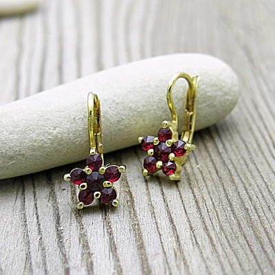 Naušnice žluté zlato- český granát Naušnice žluté zlato- český granát